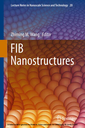 Wang |  FIB Nanostructures | eBook | Sack Fachmedien