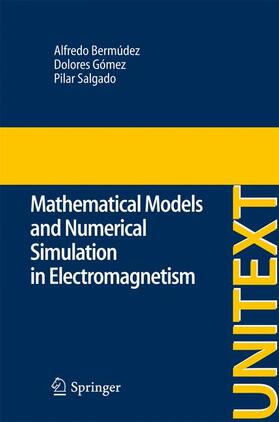 Bermúdez de Castro / Salgado / Gomez |  Mathematical Models and Numerical Simulation in Electromagnetism | Buch |  Sack Fachmedien