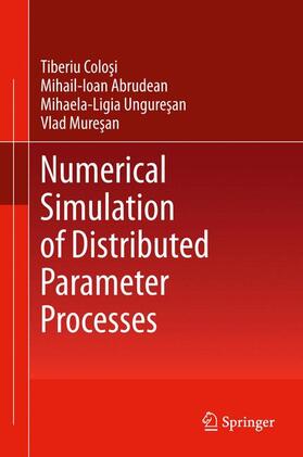 Colosi / Muresan / Abrudean |  Numerical Simulation of Distributed Parameter Processes | Buch |  Sack Fachmedien