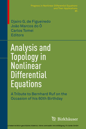 de Figueiredo / do Ó / Tomei |  Analysis and Topology in Nonlinear Differential Equations | eBook | Sack Fachmedien