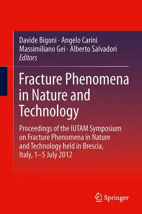 Bigoni / Salvadori / Carini |  Fracture Phenomena in Nature and Technology | Buch |  Sack Fachmedien