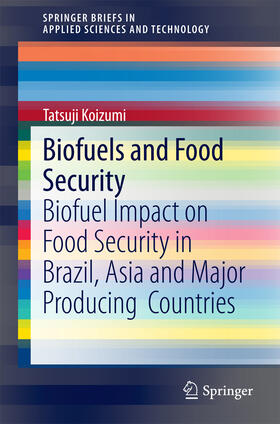Koizumi |  Biofuels and Food Security | eBook | Sack Fachmedien