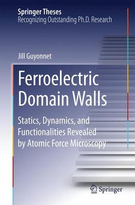 Guyonnet |  Ferroelectric Domain Walls | Buch |  Sack Fachmedien