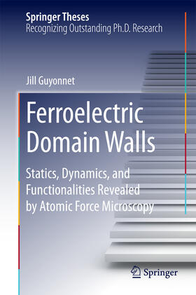 Guyonnet |  Ferroelectric Domain Walls | eBook | Sack Fachmedien