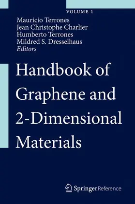 Terrones / Charlier / Dresselhaus |  Handbook of Graphene and 2-Dimensional Materials | Buch |  Sack Fachmedien