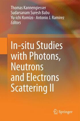 Kannengiesser / Ramirez / Babu |  In-situ Studies with Photons, Neutrons and Electrons Scattering II | Buch |  Sack Fachmedien