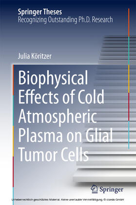 Köritzer |  Biophysical Effects of Cold Atmospheric Plasma on Glial Tumor Cells | eBook | Sack Fachmedien