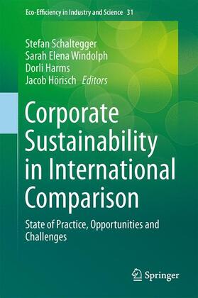 Schaltegger / Hörisch / Windolph | Corporate Sustainability in International Comparison | Buch | 978-3-319-06226-6 | sack.de