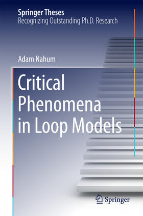 Nahum |  Critical Phenomena in Loop Models | eBook | Sack Fachmedien