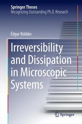 Roldán |  Irreversibility and Dissipation in Microscopic Systems | Buch |  Sack Fachmedien
