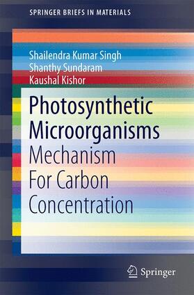 Singh / Kishor / Sundaram |  Photosynthetic Microorganisms | Buch |  Sack Fachmedien