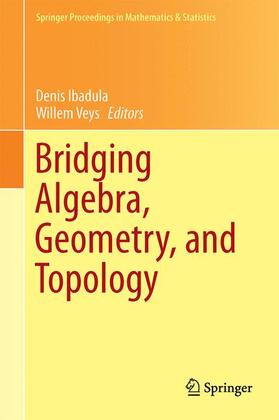 Veys / Ibadula |  Bridging Algebra, Geometry, and Topology | Buch |  Sack Fachmedien