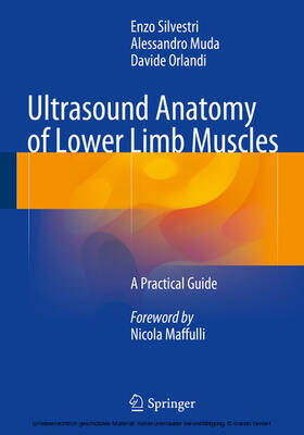 Silvestri / Muda / Orlandi |  Ultrasound Anatomy of Lower Limb Muscles | eBook | Sack Fachmedien