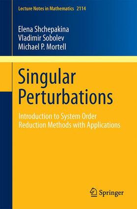 Shchepakina / Mortell / Sobolev |  Singular Perturbations | Buch |  Sack Fachmedien