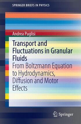 Puglisi |  Transport and Fluctuations in Granular Fluids | Buch |  Sack Fachmedien