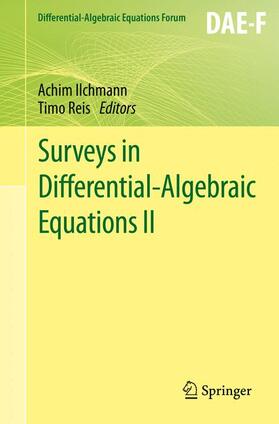 Reis / Ilchmann |  Surveys in Differential-Algebraic Equations II | Buch |  Sack Fachmedien