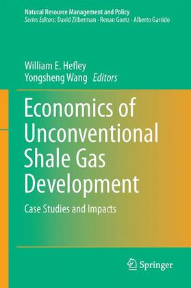 Wang / Hefley |  Economics of Unconventional Shale Gas Development | Buch |  Sack Fachmedien