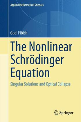 Fibich |  The Nonlinear Schrödinger Equation | Buch |  Sack Fachmedien