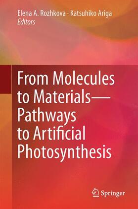 Ariga / Rozhkova |  From Molecules to Materials | Buch |  Sack Fachmedien