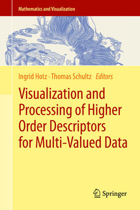Hotz / Schultz |  Visualization and Processing of Higher Order Descriptors for Multi-Valued Data | eBook | Sack Fachmedien
