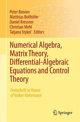Benner / Bollhöfer / Stykel |  Numerical Algebra, Matrix Theory, Differential-Algebraic Equations and Control Theory | Buch |  Sack Fachmedien