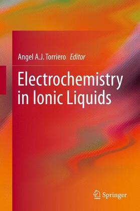 Torriero |  Electrochemistry in Ionic Liquids | Buch |  Sack Fachmedien