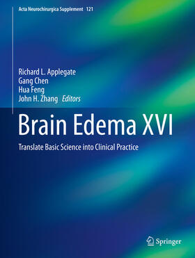 Applegate / Chen / Feng |  Brain Edema XVI | eBook | Sack Fachmedien
