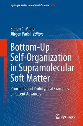 Parisi / Müller |  Bottom-Up Self-Organization in Supramolecular Soft Matter | Buch |  Sack Fachmedien