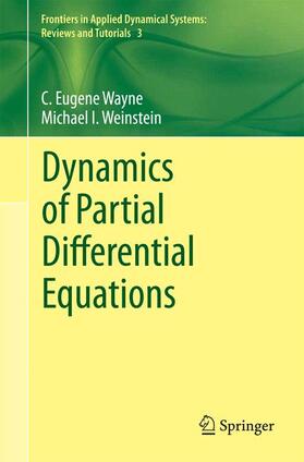 Weinstein / Wayne |  Dynamics of Partial Differential Equations | Buch |  Sack Fachmedien
