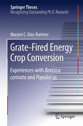 Díaz-Ramírez |  Grate-Fired Energy Crop Conversion | Buch |  Sack Fachmedien