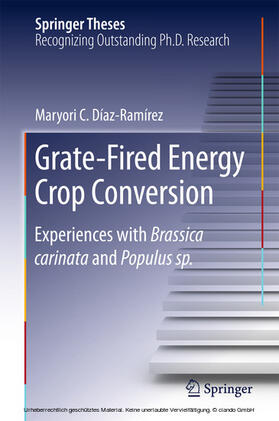 Díaz-Ramírez |  Grate-Fired Energy Crop Conversion | eBook | Sack Fachmedien