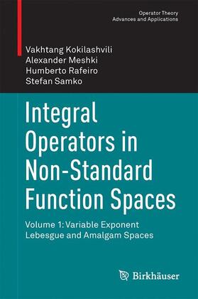 Kokilashvili / Samko / Meskhi |  Integral Operators in Non-Standard Function Spaces | Buch |  Sack Fachmedien