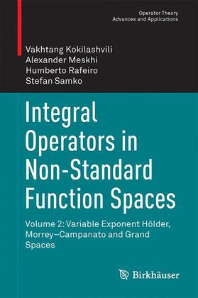 Kokilashvili / Samko / Meskhi |  Integral Operators in Non-Standard Function Spaces | Buch |  Sack Fachmedien