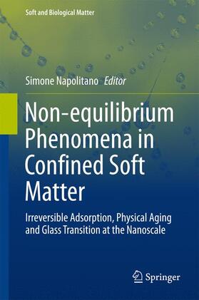 Napolitano |  Non-equilibrium Phenomena in Confined Soft Matter | Buch |  Sack Fachmedien