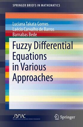 Gomes / Bede / Barros |  Fuzzy Differential Equations in Various Approaches | Buch |  Sack Fachmedien