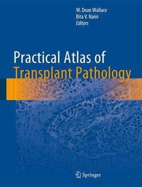 Naini / Wallace |  Practical Atlas of Transplant Pathology | Buch |  Sack Fachmedien
