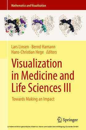 Linsen / Hamann / Hege |  Visualization in Medicine and Life Sciences III | eBook | Sack Fachmedien
