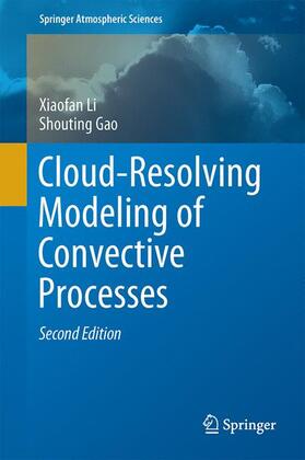 Gao / Li |  Cloud-Resolving Modeling of Convective Processes | Buch |  Sack Fachmedien