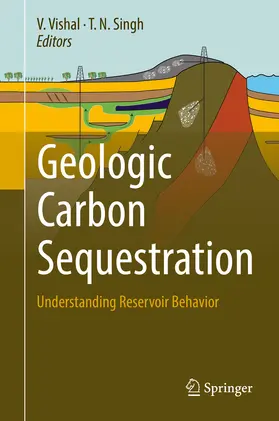 Vishal / Singh |  Geologic Carbon Sequestration | eBook | Sack Fachmedien