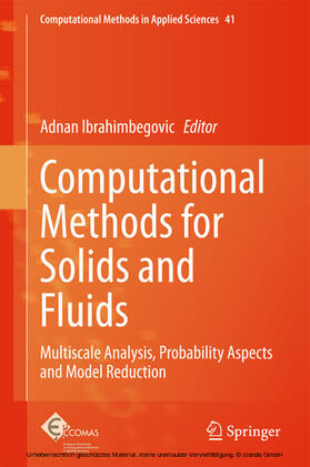 Ibrahimbegovic |  Computational Methods for Solids and Fluids | eBook | Sack Fachmedien