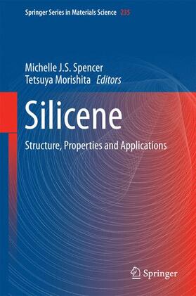 Morishita / Spencer |  Silicene | Buch |  Sack Fachmedien