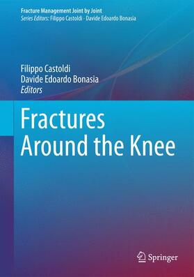 Bonasia / Castoldi |  Fractures Around the Knee | Buch |  Sack Fachmedien