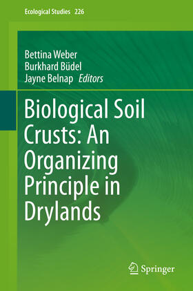 Weber / Büdel / Belnap |  Biological Soil Crusts: An Organizing Principle in Drylands | eBook | Sack Fachmedien