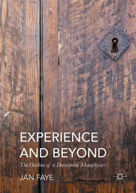 Faye |  Experience and Beyond | Buch |  Sack Fachmedien