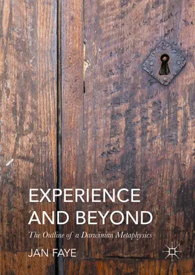 Faye |  Experience and Beyond | eBook | Sack Fachmedien