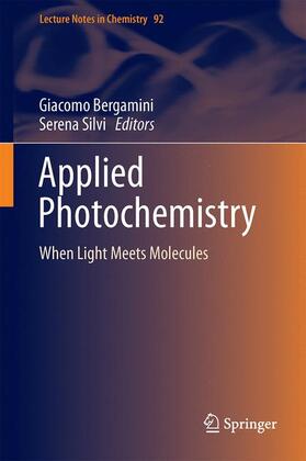 Silvi / Bergamini |  Applied Photochemistry | Buch |  Sack Fachmedien