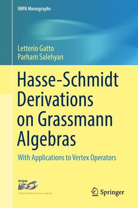 Salehyan / Gatto |  Hasse-Schmidt Derivations on Grassmann Algebras | Buch |  Sack Fachmedien