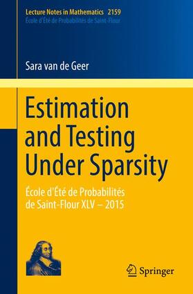 van de Geer |  Estimation and Testing Under Sparsity | Buch |  Sack Fachmedien