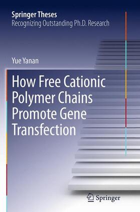 Yanan |  How Free Cationic Polymer Chains Promote Gene Transfection | Buch |  Sack Fachmedien