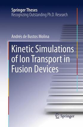 de Bustos Molina |  Kinetic Simulations of Ion Transport in Fusion Devices | Buch |  Sack Fachmedien
